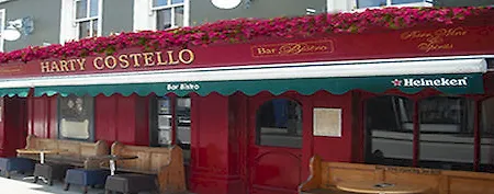게스트하우스 Harty Costello Town House